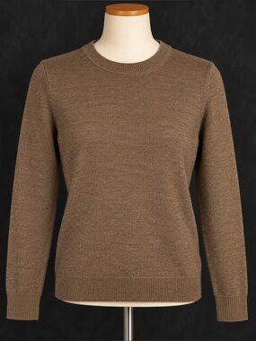Gap 100% Merino Wool Brown Crewneck Sweater Size Small